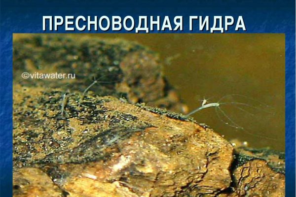 Кракен 2krnk cc