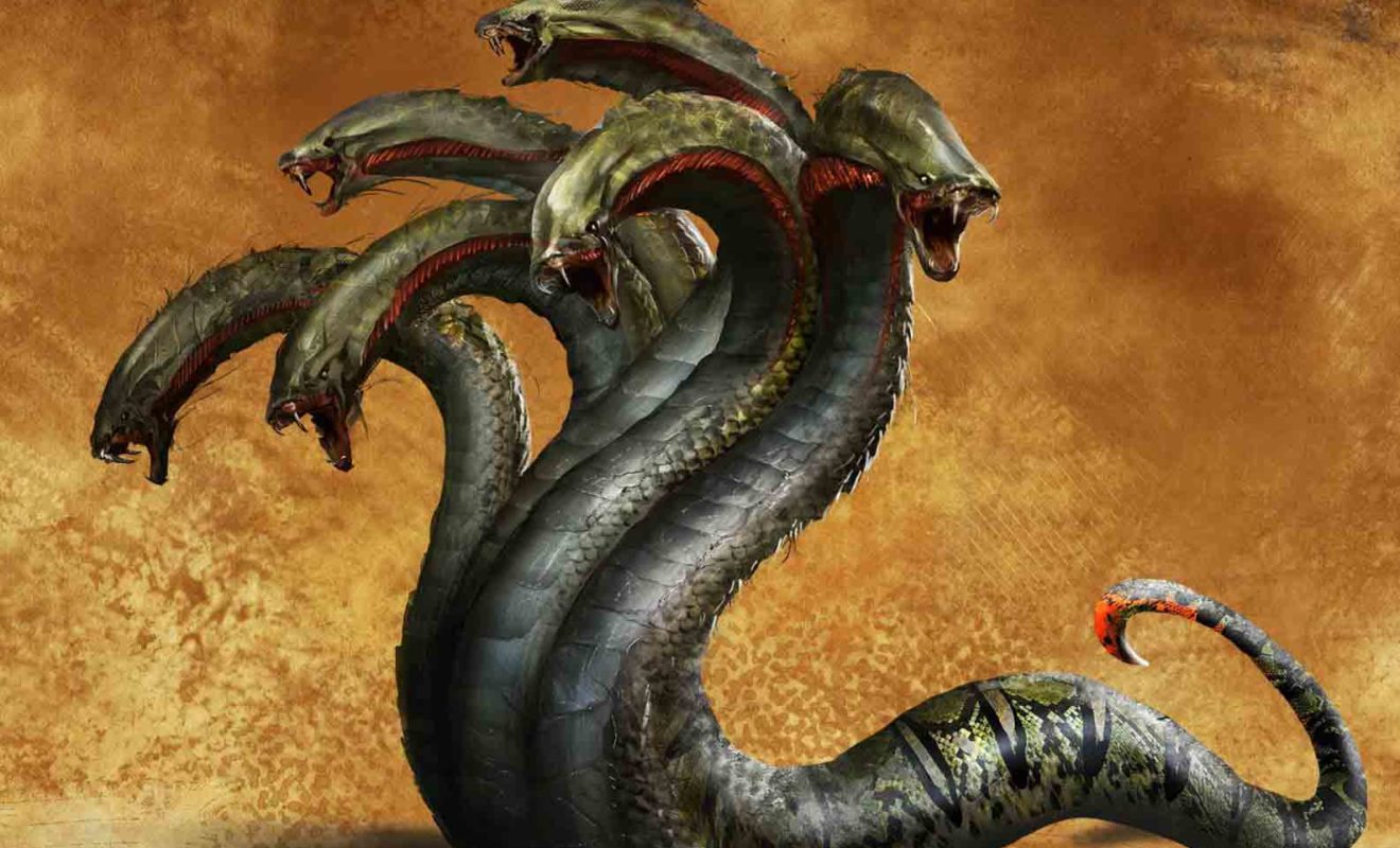 Можно ли вывести деньги с кракена