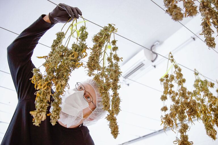 Кракен сайт kr2web in зарегистрироваться