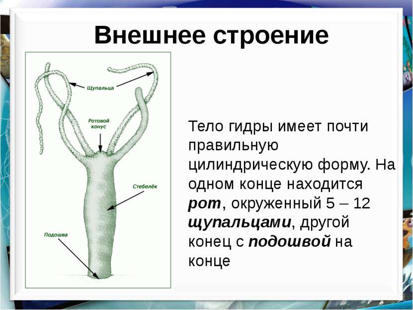 Кракен магазин наркоты